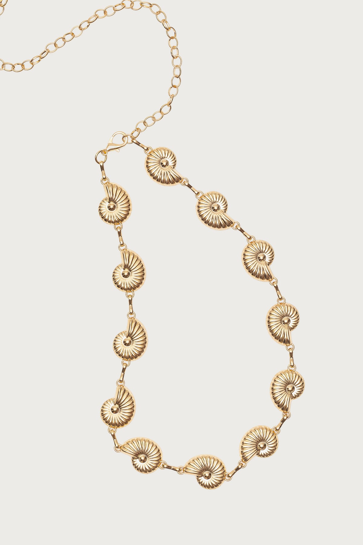 Coastal Chain Belt - Image 2