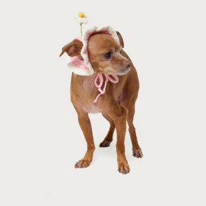 Petal Pet Crochet Hat