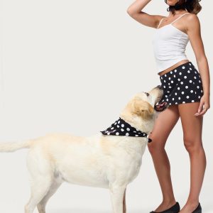 Polka Dot Edikted Pet Bandana