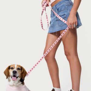 Daylily Pet Leash